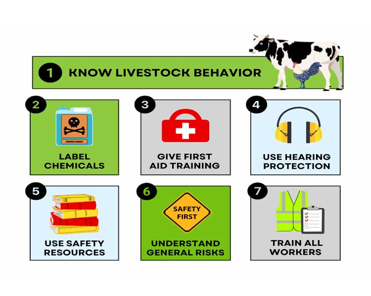 Ways to stay safe on a farm