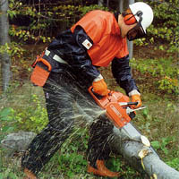Chain Saw