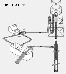 Circulation