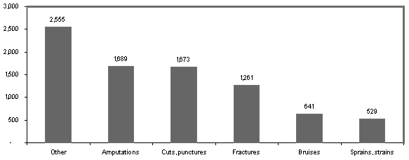 Exhibit 10: Punch Press Injuries by Nature Based on BLS Injury Data, 1992 - 1999 Exhibit 10: Punch Press Injuries by Nature Based on BLS Injury Data, 1992 - 1999