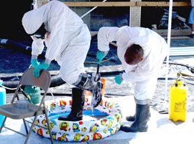 Photo courtesy of FEMA. This picture shows actual disaster site work conditions and may not illustrate proper safety and health procedures.