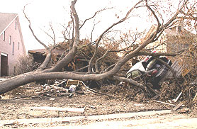 Photo courtesy of FEMA. This picture shows actual disaster site work conditions and may not illustrate proper safety and health procedures.