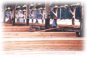 lumber