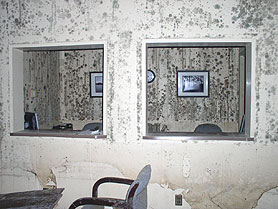 Photo courtesy of FEMA. This picture shows actual disaster site work conditions and may not illustrate proper safety and health procedures.