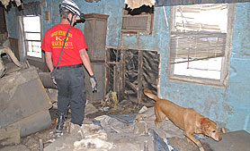 Photo courtesy of FEMA. This picture shows actual disaster site work conditions and may not illustrate proper safety and health procedures.