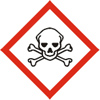 Skull and Crossbones