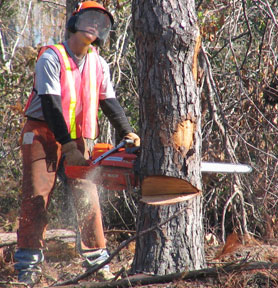 Photo courtesy of the U.S. Army Corp of Engineers. This picture shows actual disaster site work conditions and may not illustrate proper safety and health procedures.