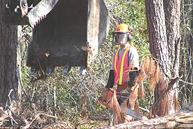 Photo courtesy of the National Institute for Environmental Health Sciences. This picture shows actual disaster site work conditions and may not illustrate proper safety and health procedures.