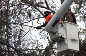 Photo courtesy of FEMA. This picture shows actual disaster site work conditions and may not illustrate proper safety and health procedures.