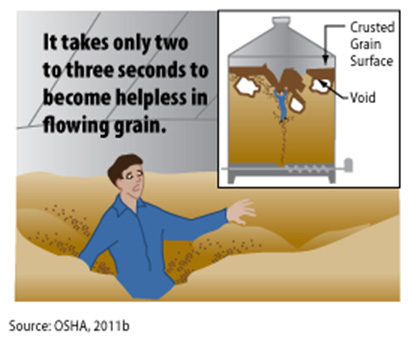 Figure III.5 It takes only two to three seconds to become helpless in flowing grain.