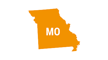 Missouri State silhouette: Fatal Safety Failure