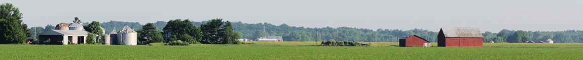 Indiana State Plan
